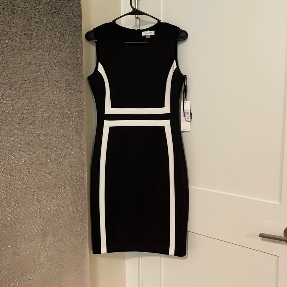 Calvin Klein Black and White Dress